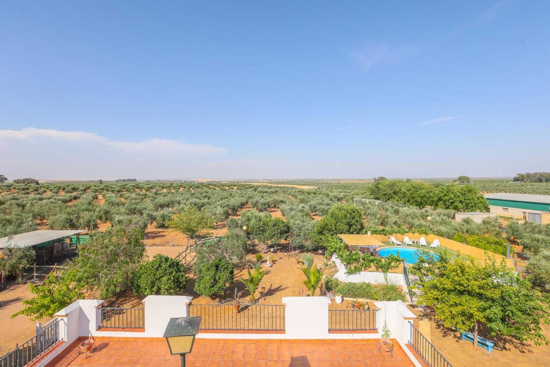 Casa Rural Los Miradores Marchena  Eksteriør bilde