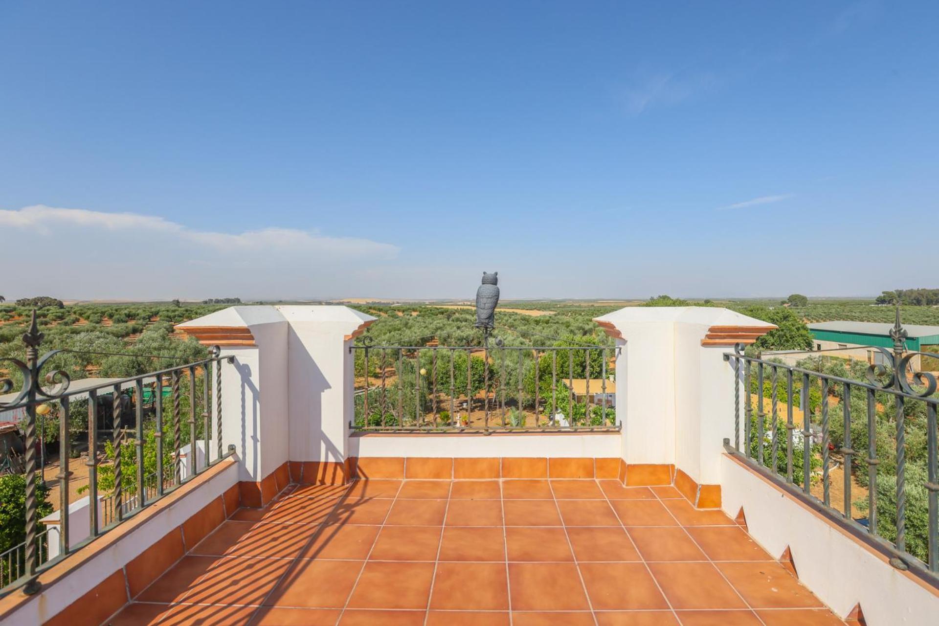 Casa Rural Los Miradores Marchena  Eksteriør bilde