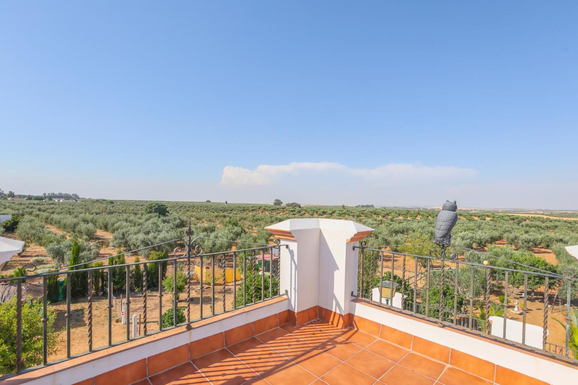 Casa Rural Los Miradores Marchena  Eksteriør bilde