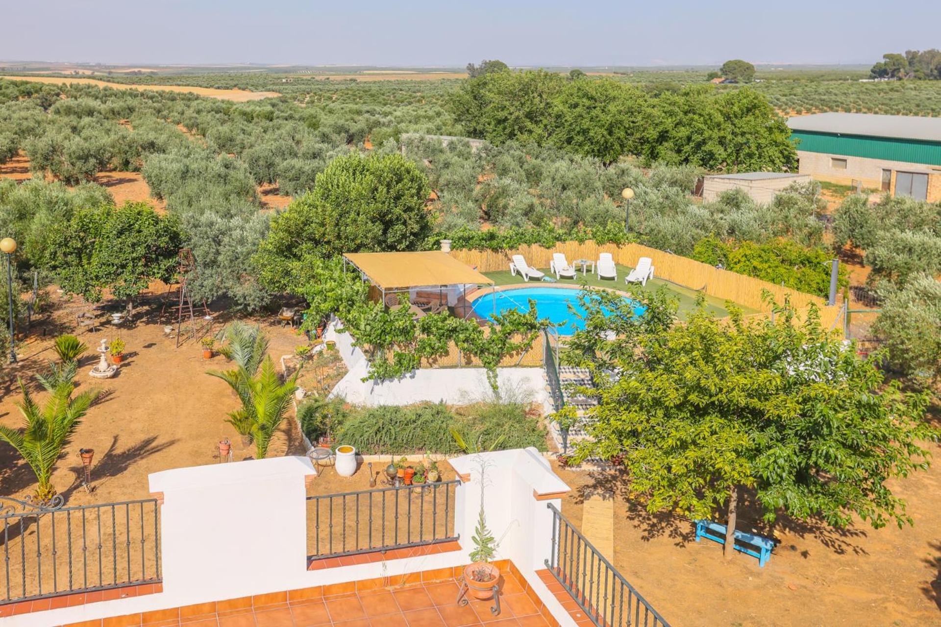 Casa Rural Los Miradores Marchena  Eksteriør bilde